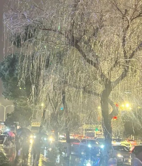 如松：冰雪回家路，诸葛亮从哪里借来的东风？-图片1