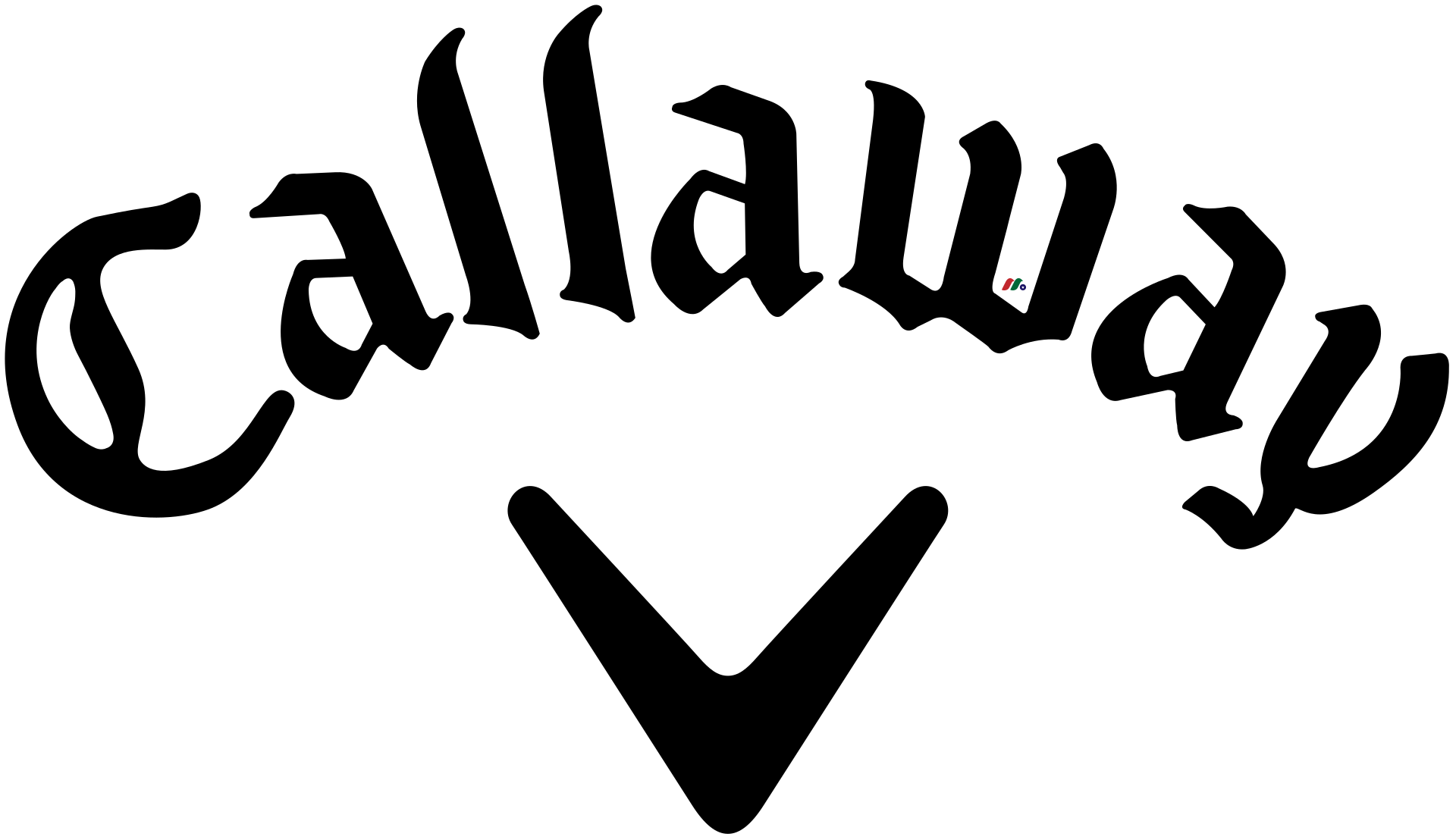 全球最大高尔夫球杆生产商：Topgolf Callaway Brands Corp.(MODG)-图片2