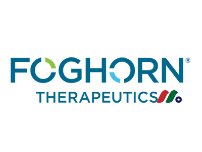 生物科技公司：Foghorn Therapeutics Inc.(FHTX)