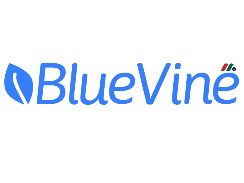 美国金融科技公司：Bluevine Capital Inc.