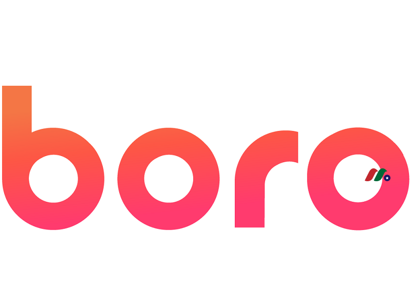 面对Z世代大学生的普惠金融移动平台和银行应用程序：Westbon, Inc. (Boro)