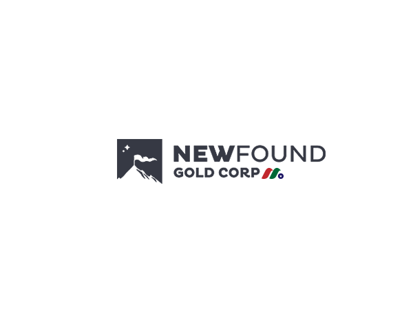 加拿大金矿勘探公司：New Found Gold Corp.(NFGC)