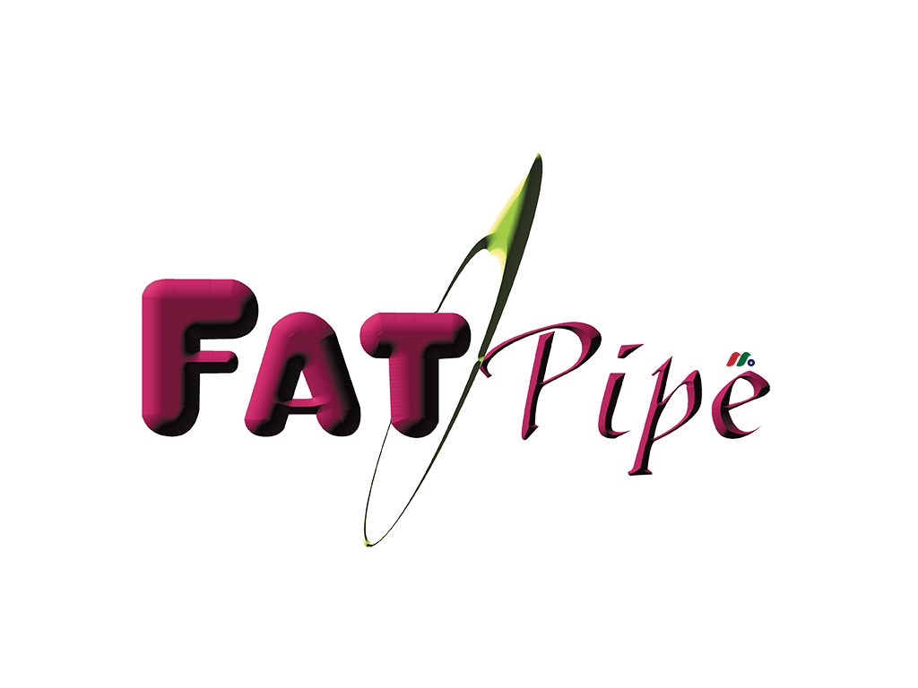 网络软件解决方案提供商：FatPipe Networks(FATN)